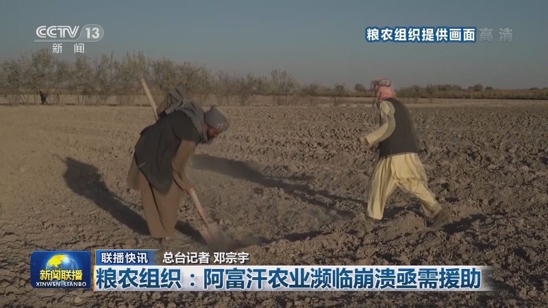 国际联播快讯