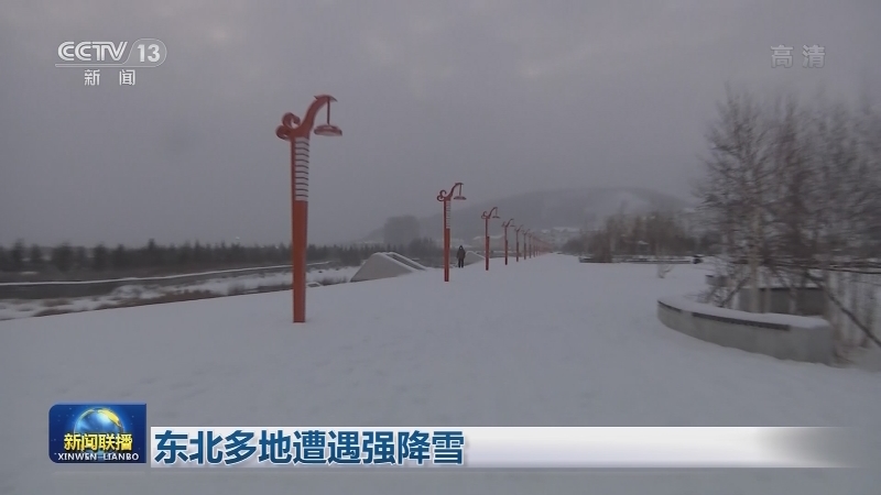 [视频]东北多地遭遇强降雪