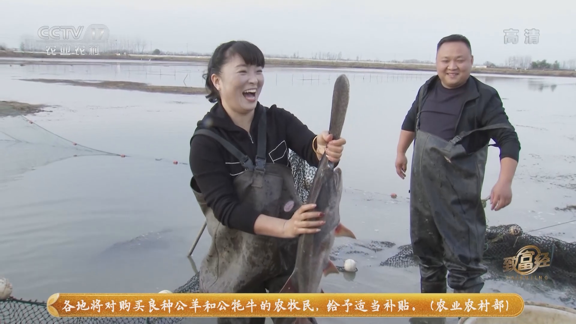 致富经CCTV节目官网(致富经cctv7视频全集2021)