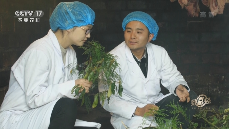 包含致富经里的节目真实吗的词条