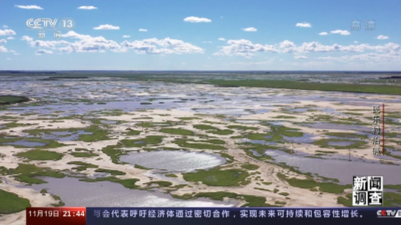《新闻调查》 20221119 民乐村治碱