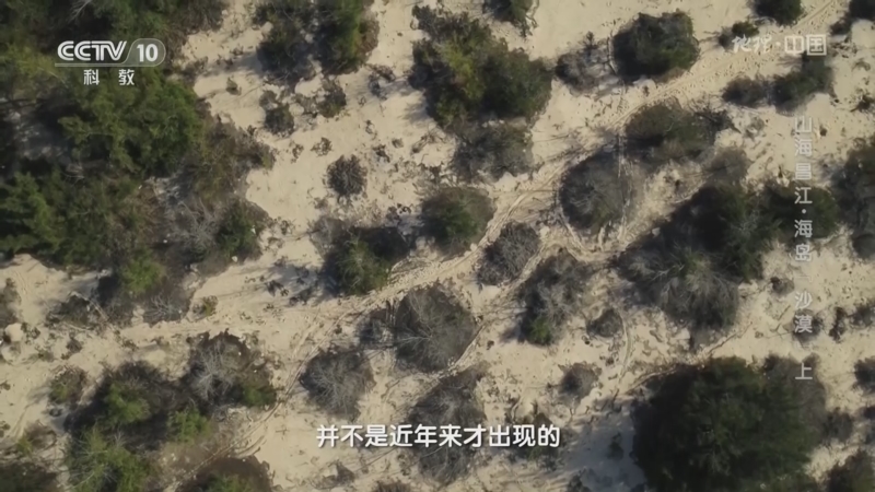 [地理·中国]海南岛西部的沙丘在古籍中就有记载