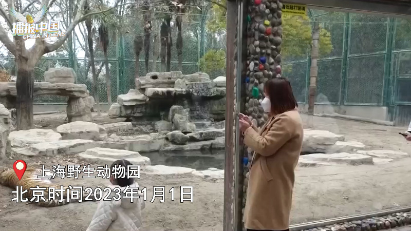 上海野生动物园亲子游  “骑马列队”欢迎游客