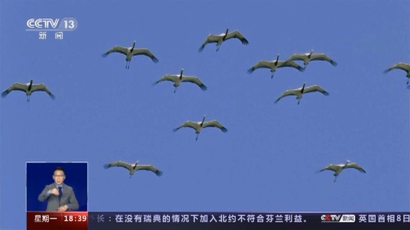 《共同关注》 20230109