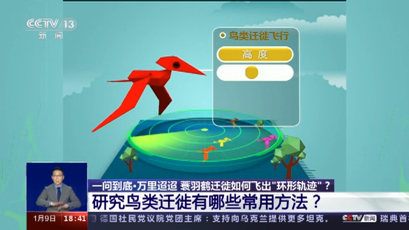 [共同关注]一问到底·万里迢迢 蓑羽鹤迁徙如何飞出“环形轨迹”？研究鸟类迁徙有哪些常用方法？
