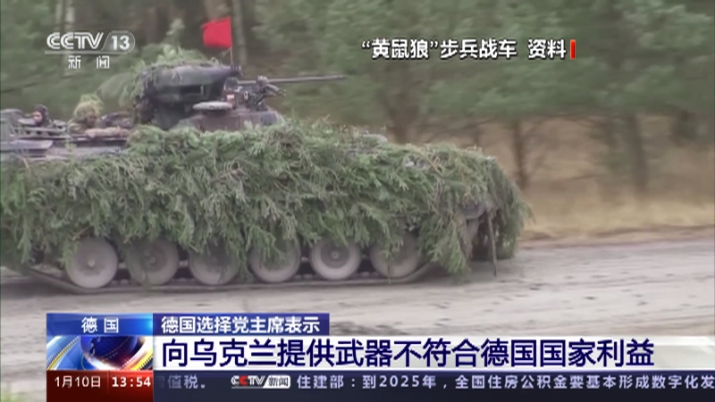 [新闻直播间]德国 德国选择党主席表示 向乌克兰提供武器不符合德国国家利益