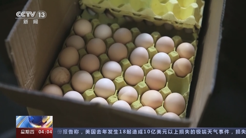 《新闻直播间》 20230112 04:00