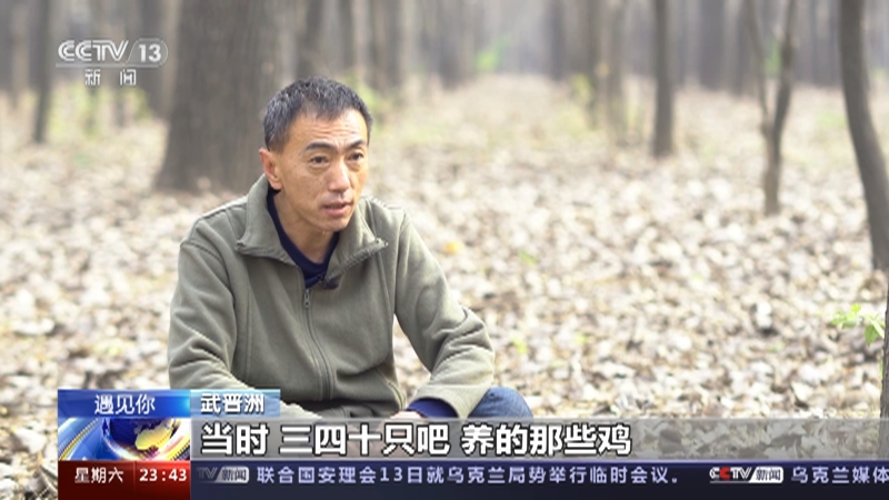 [24小时]遇见你 武晋洲：镜头后的鸟类守护者