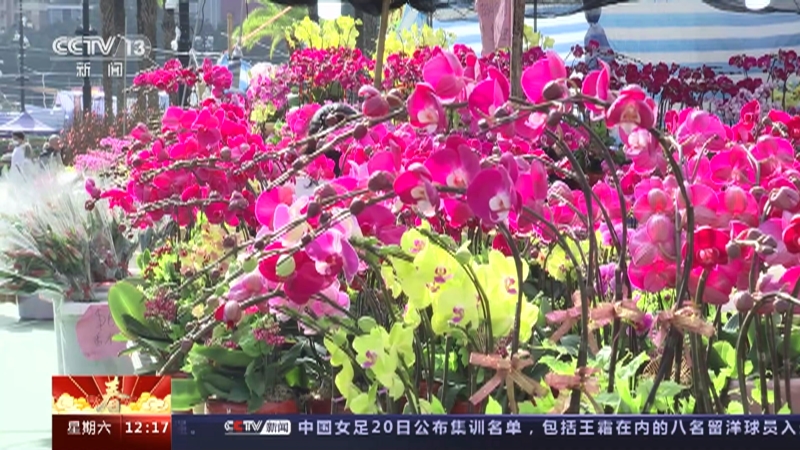 [新闻30分]香港 逛花市买年花 香港市民寄托美好祝愿