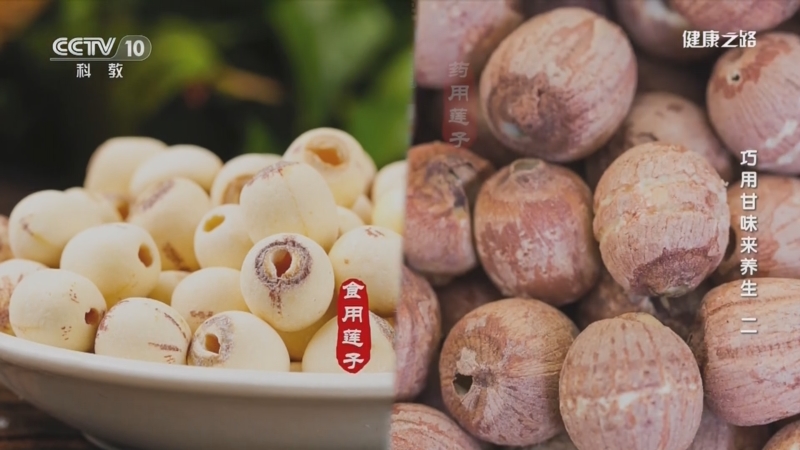 [健康之路]巧用甘味来养生（二） 莲子