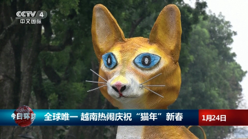 [今日环球]全球唯一 越南热闹庆祝“猫年”新春