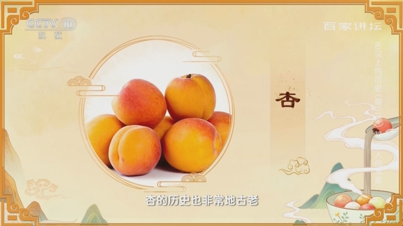 [百家讲坛]从“杏坛”到“杏林” 这种水果为何在中国“地位非凡”