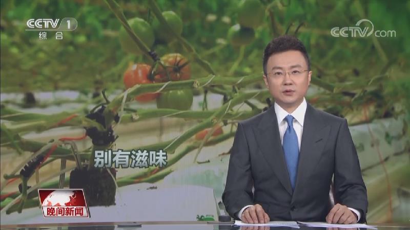[视频]【传感中国】数字技术赋能农业 订制家的味道