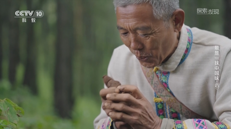 [探索·发现]深山寻觅“餐桌上的黑钻石”——黑松露