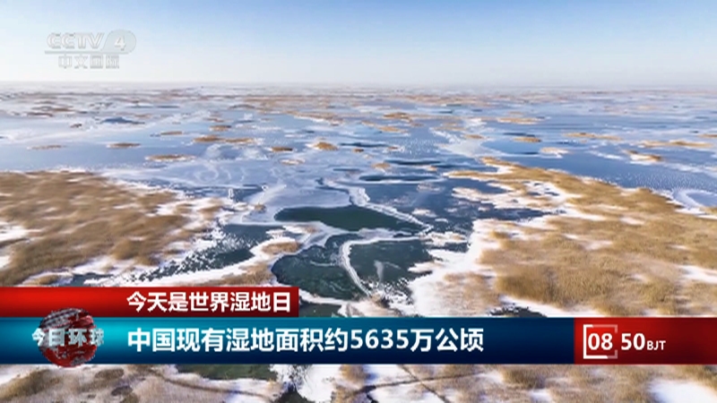 [今日环球]今天是世界湿地日 中国现有湿地面积约5635万公顷