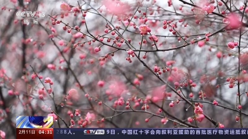 《新闻直播间》 20230211 04:00