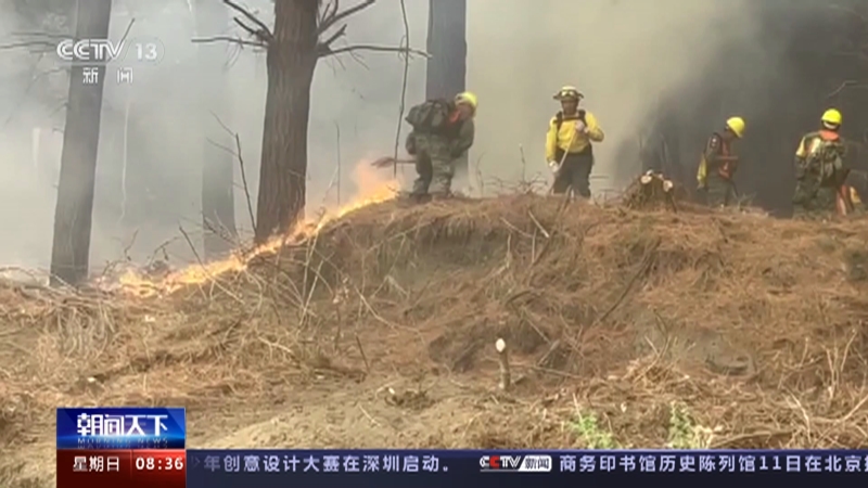 [朝闻天下]智利 总台报道员探访森林火灾重灾区圣胡阿纳市 森林大火导致当地生物资源损失惨重