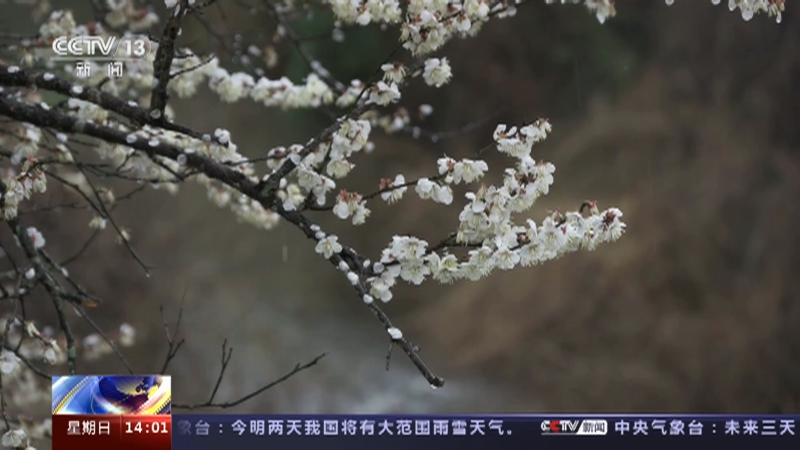 [新闻直播间]中央气象台 今明两天中东部有大范围雨雪天气