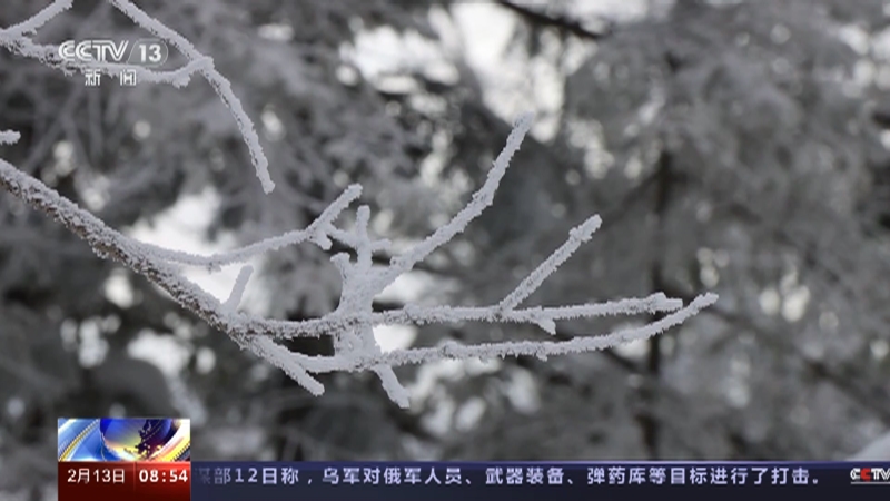 [朝闻天下]黑龙江牡丹江 雾凇雪挂 千姿百态 晶莹剔透