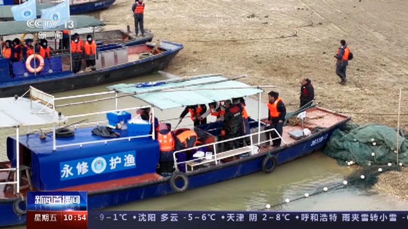 [新闻直播间]江西 鄱阳湖长江江豚第五次迁地保护开始实施