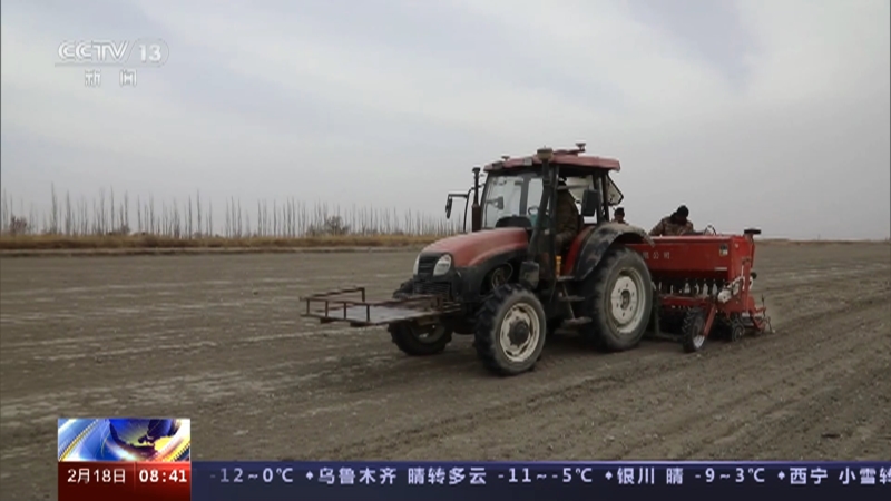 [朝闻天下]新疆巴州 30万亩春小麦播种拉开序幕