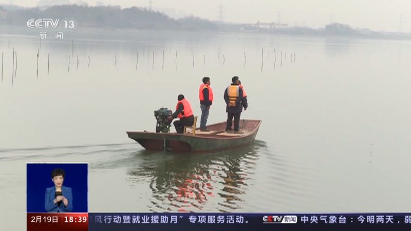 [共同关注]江西鄱阳湖开展长江江豚迁地保护工作 一问到底：迁地保护 如何为长江江豚搬家？