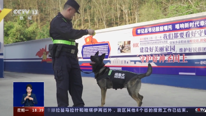 [共同关注]战功赫赫 15只警犬获评国家首批“功勋犬” 搜出冰毒23公斤 警犬“咖啡”一战成名