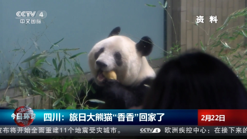 [今日环球]四川：旅日大熊猫“香香”回家了