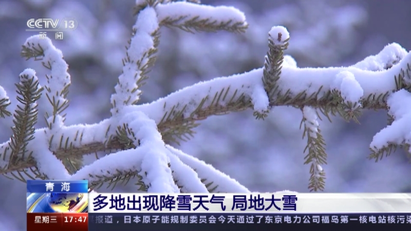 [新闻直播间]青海 多地出现降雪天气 局地大雪