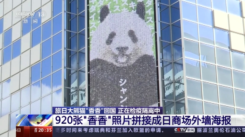 [东方时空]旅日大熊猫“香香”回国 正在检疫隔离中 上野动物园为“香香”回国量身定制运输箱