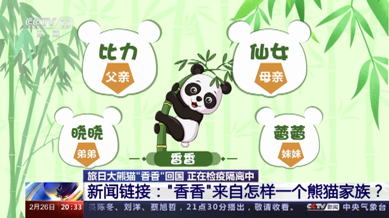 [东方时空]旅日大熊猫“香香”回国 正在检疫隔离中 新闻链接：“香香”来自怎样一个熊猫家族？