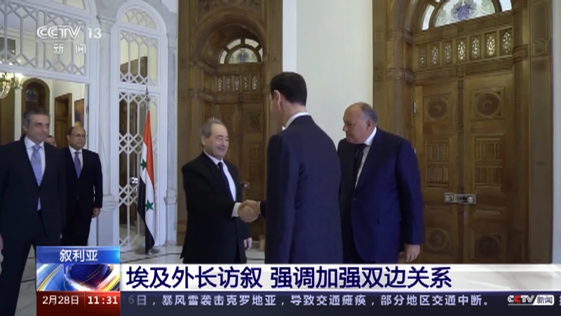 [新闻直播间]叙利亚 埃及外长访叙 强调加强双边关系