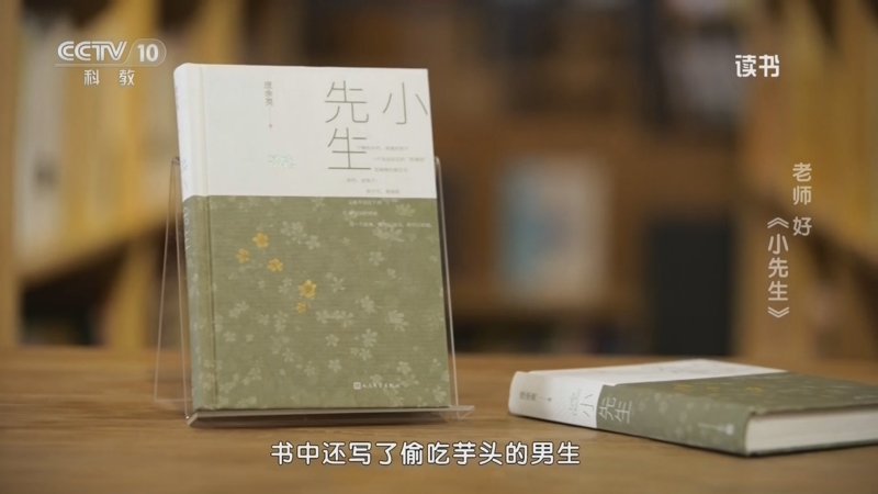 [读书]庞余亮:《小先生》