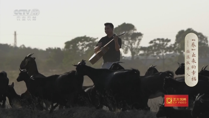 《三农群英汇》 20230515 “养”出来的幸福——摇滚牧羊人