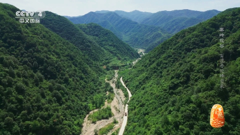 [记住乡愁]一勤天下无难事 村民养蜂致富
