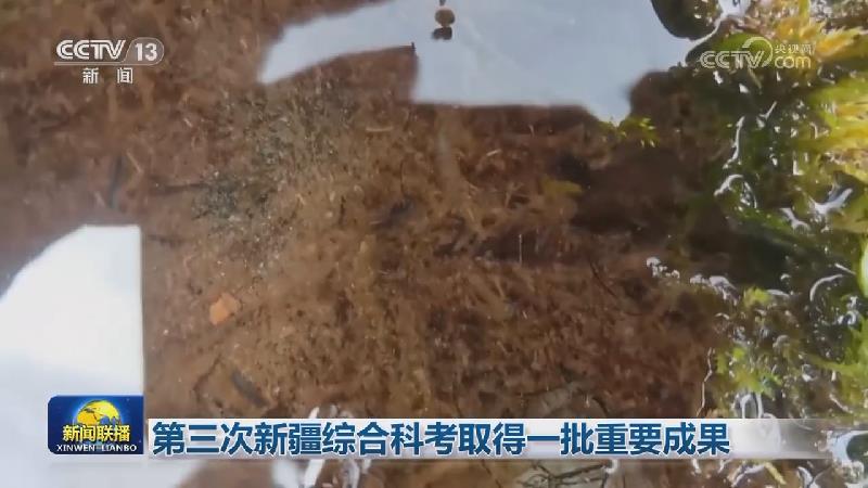 第三次新疆综合科考取得一批重要成果