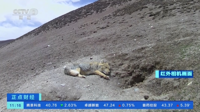 《正点财经》 20230911 11:00