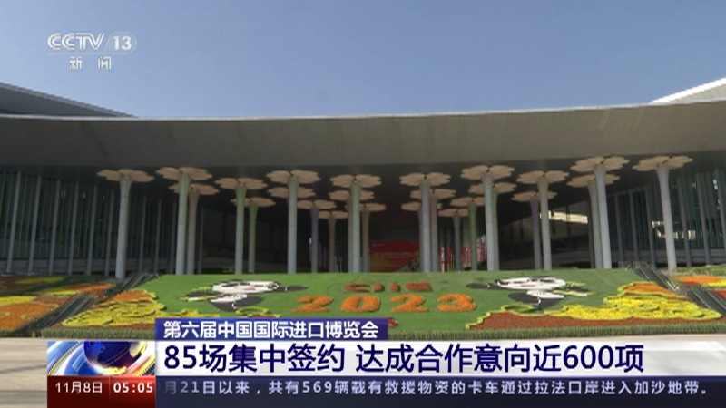 [新闻直播间]第六届中国国际进口博览会 85场集中签约 达成合作意向近