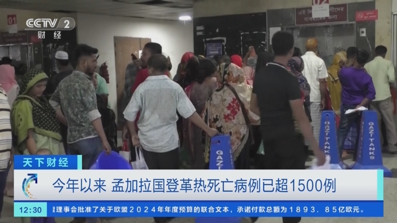 [天下财经]今年以来 孟加拉国登革热死亡病例已超1500例