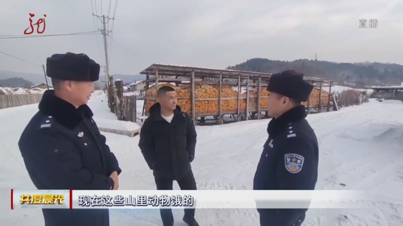 [共度晨光]伊春:小狍子受伤 警民联手施救