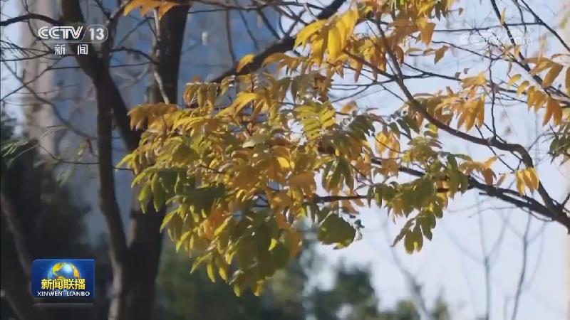 国内联播快讯