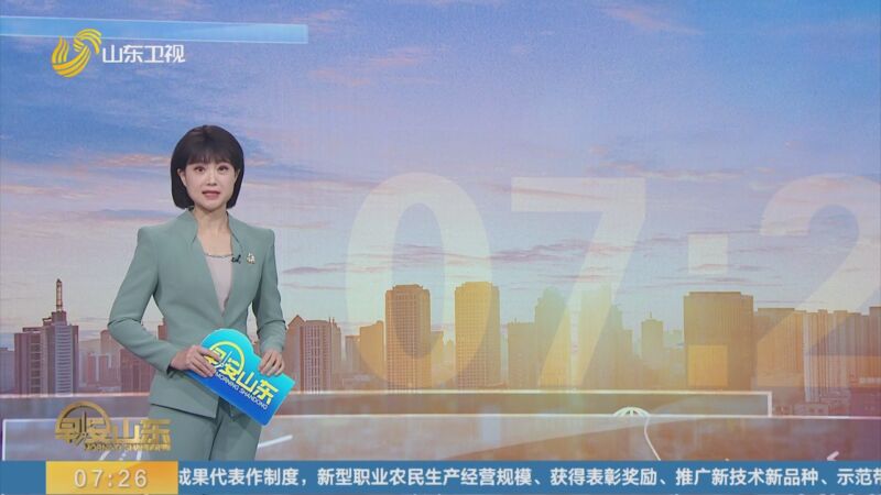 [早安山东]澳大利亚考拉母子被车撞后奇迹生还