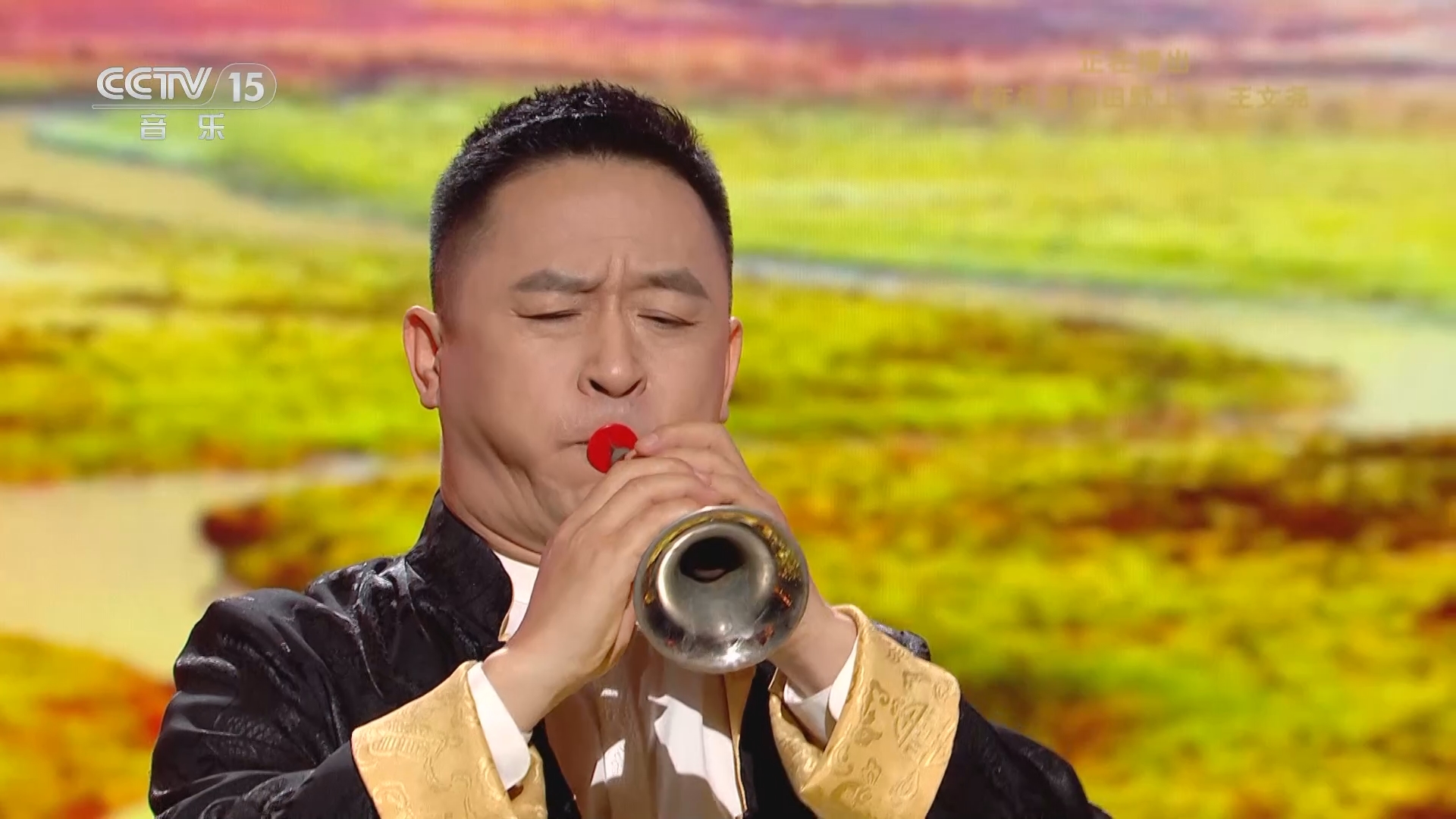 [风华国乐]《在希望的田野上》 演奏:王文尧