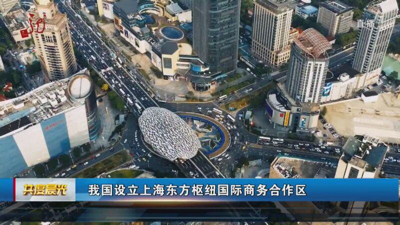 [共度晨光]我国设立上海东方枢纽国际商务合作区