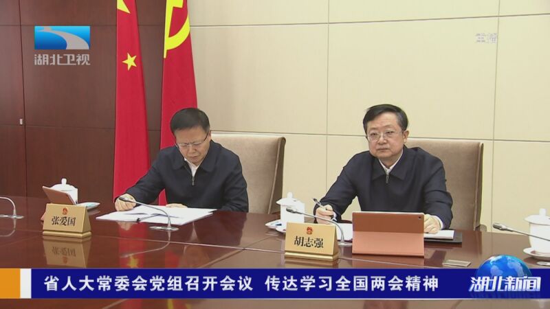 [湖北新闻]省人大常委会党组召开会议 传达学习全国两会精神