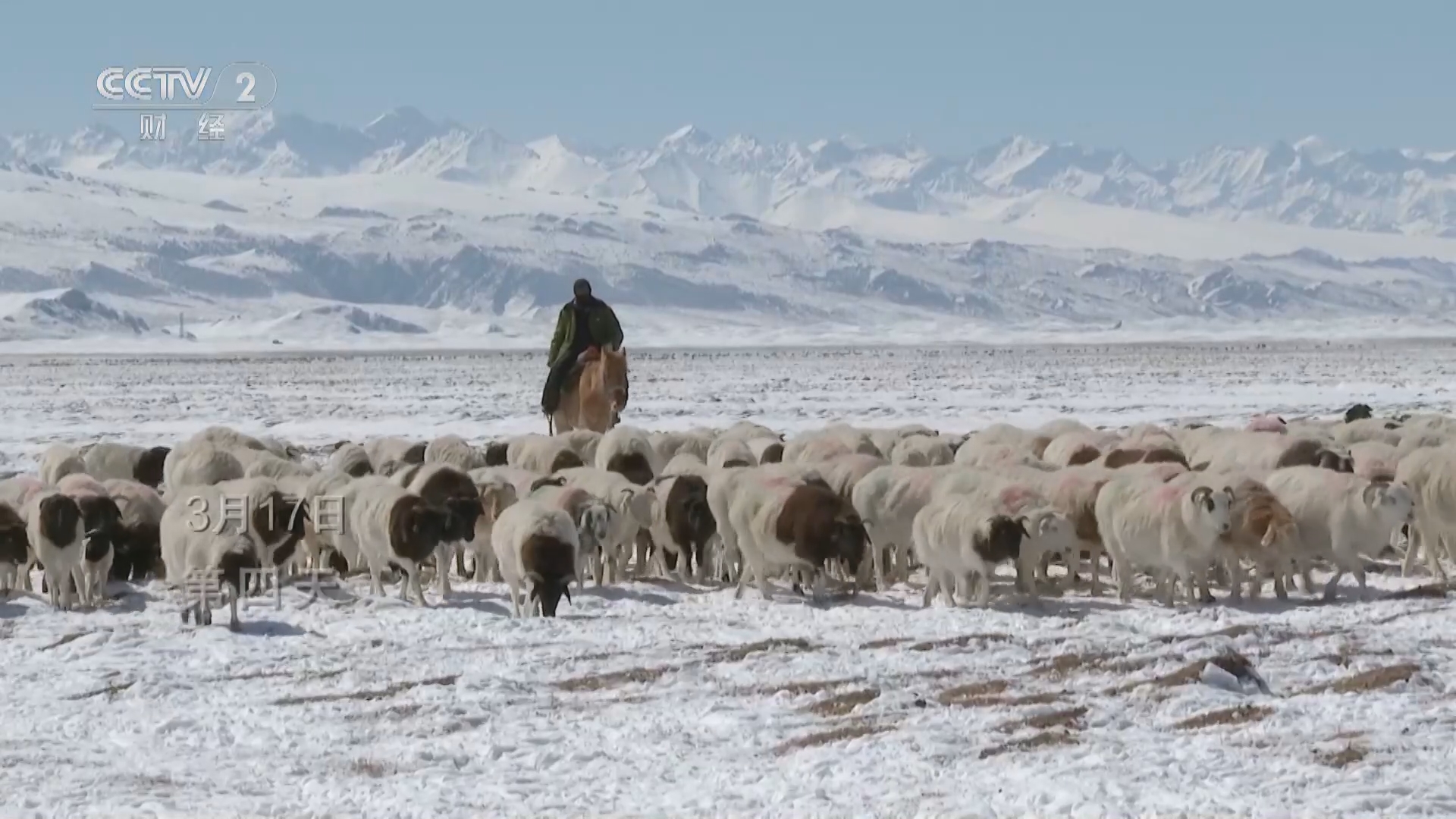 [经济信息联播]新疆:向春季牧场出发 记者记录牧民才仁一家四天转场