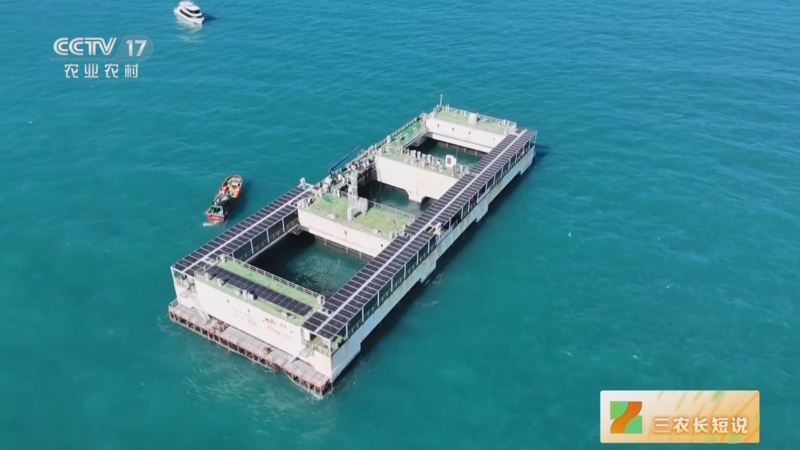 [三农长短说]迈向深蓝 向海图强 海南 建设智慧海洋牧场 增产提效