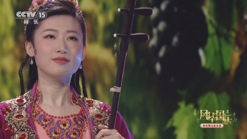 [风华国乐]《阿曼尼莎》 演奏:刘宇