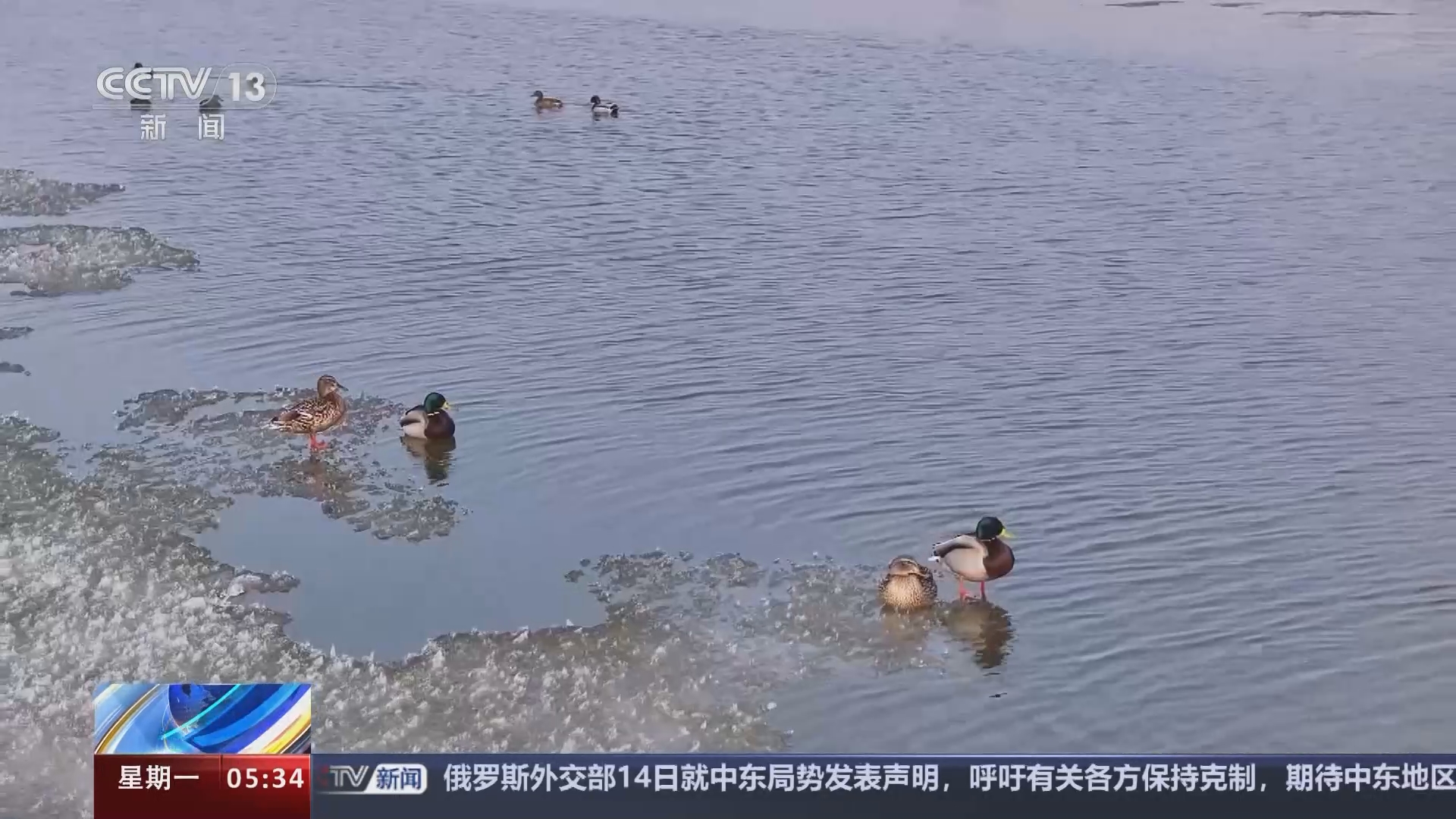 [新闻直播间]吉林蛟河 冰水交融 松花江上游迎来开江期