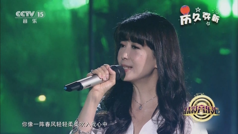 [精彩音乐汇]歌曲《野百合也有春天》 演唱:孟庭苇